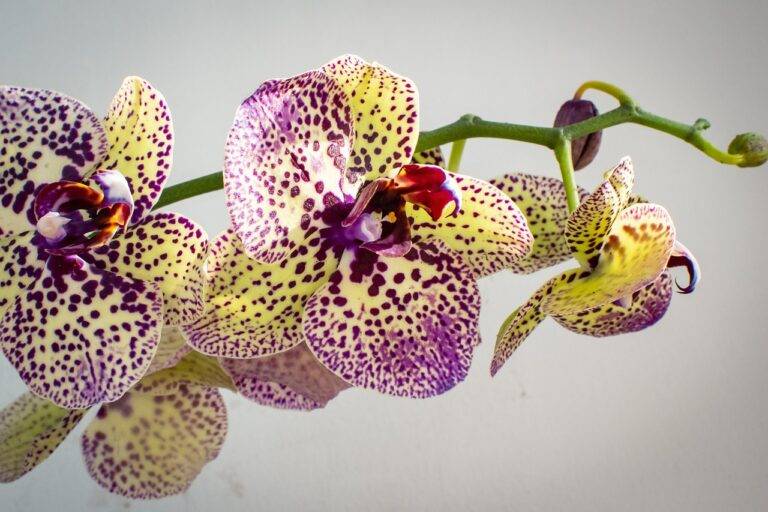 Tips for Renovating a Basement