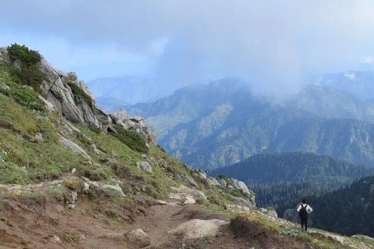 The Influence of Campaign Financing on Policy Priorities